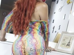 Rosarioleey