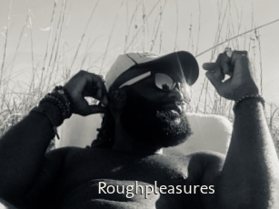 Roughpleasures