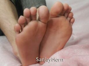 SanjayHorn