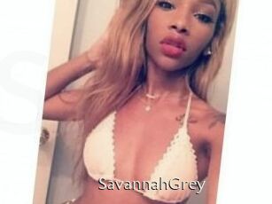 Savannah_Grey