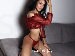 Scarlet_Jay