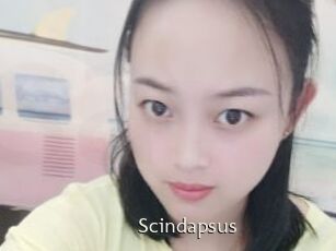 Scindapsus