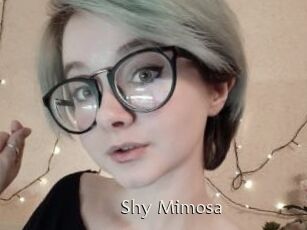 Shy_Mimosa