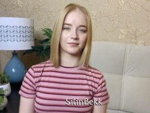 SilinBekk