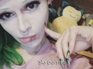 SkyBurrito