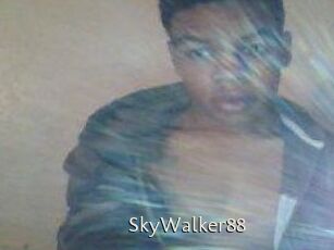 SkyWalker88
