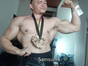 Samsulek