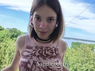 Sandieboerm