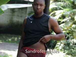 Sandrofernandes