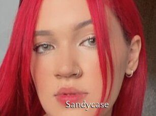 Sandycase