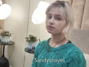 Sandyshayes