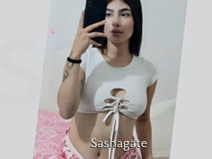 Sashagate