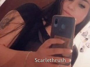 Scarlethrush