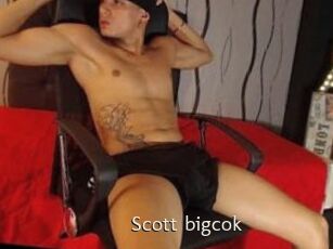 Scott_bigcok