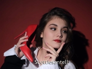 Scottiesantell