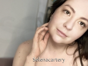 Selenacartery