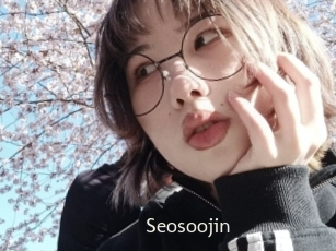 Seosoojin