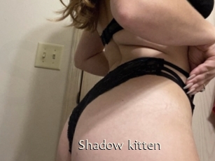 Shadow_kitten