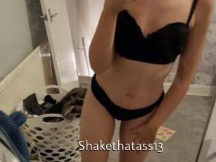 Shakethatass13
