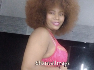 Shantallmays
