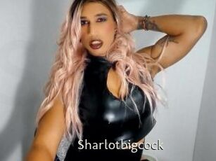 Sharlotbigcock