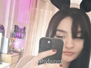 Shybunny