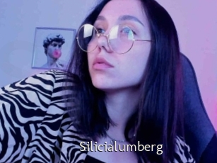 Silicialumberg