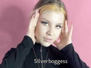 Silverboggess