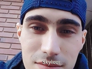 Skyleer