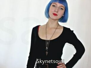Skynetsoull