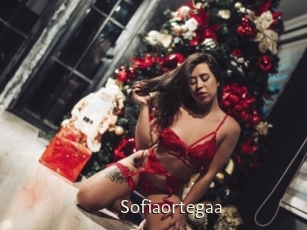 Sofiaortegaa