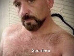 Spunbear