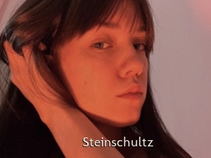 Steinschultz
