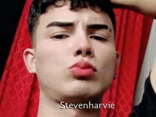 Stevenharvie