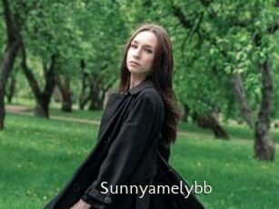 Sunnyamelybb