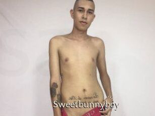 Sweet_bunny_boy