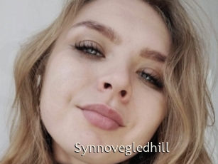 Synnovegledhill