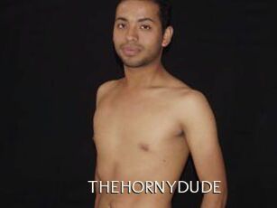 THEHORNYDUDE