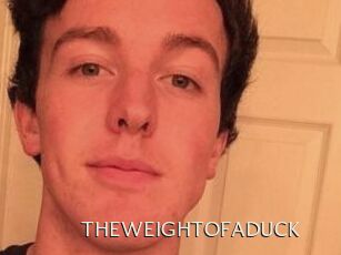 THEWEIGHTOFADUCK
