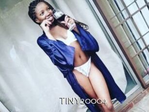TINY20004