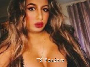 TS_Pandora