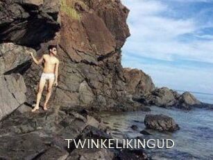 TWINKELIKINGUD