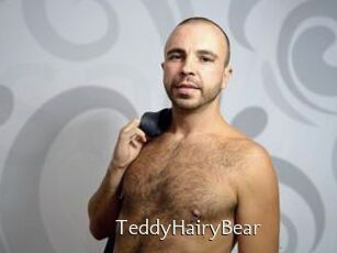 TeddyHairyBear