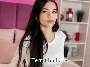 TerryBlueberry