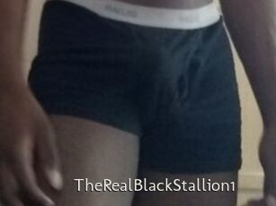 TheRealBlackStallion1