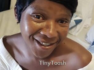 TinyToosh