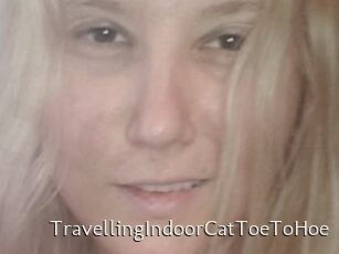 TravellingIndoorCatToeToHoe