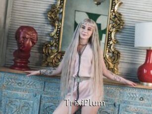 TrixiPlum