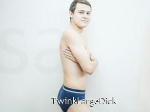 TwinkLargeDick