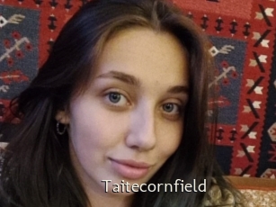 Taitecornfield